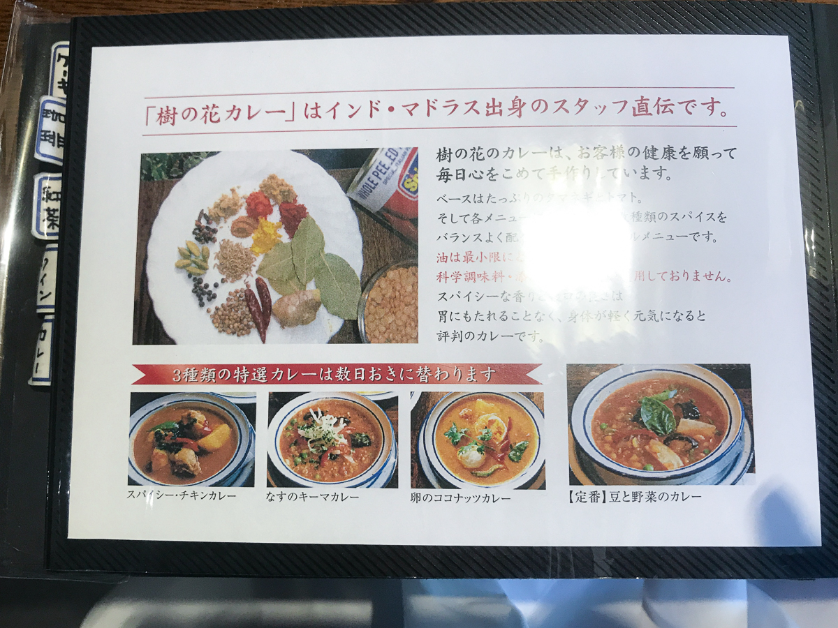 銀座 樹の花 コーヒー 老舗 喫茶店　銀座　有楽町　カレー　ランチ　スパイスカレー　おすすめ