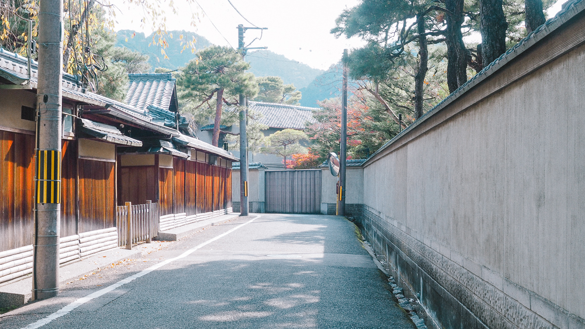 京都 南禅寺 天授庵 紅葉 時期 秋　もみじ　紅葉狩り 観光　kyoto 日本庭園　庭園　