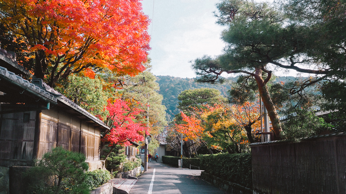 京都 南禅寺 天授庵 紅葉 時期 秋　もみじ　紅葉狩り 観光　kyoto 日本庭園　庭園　