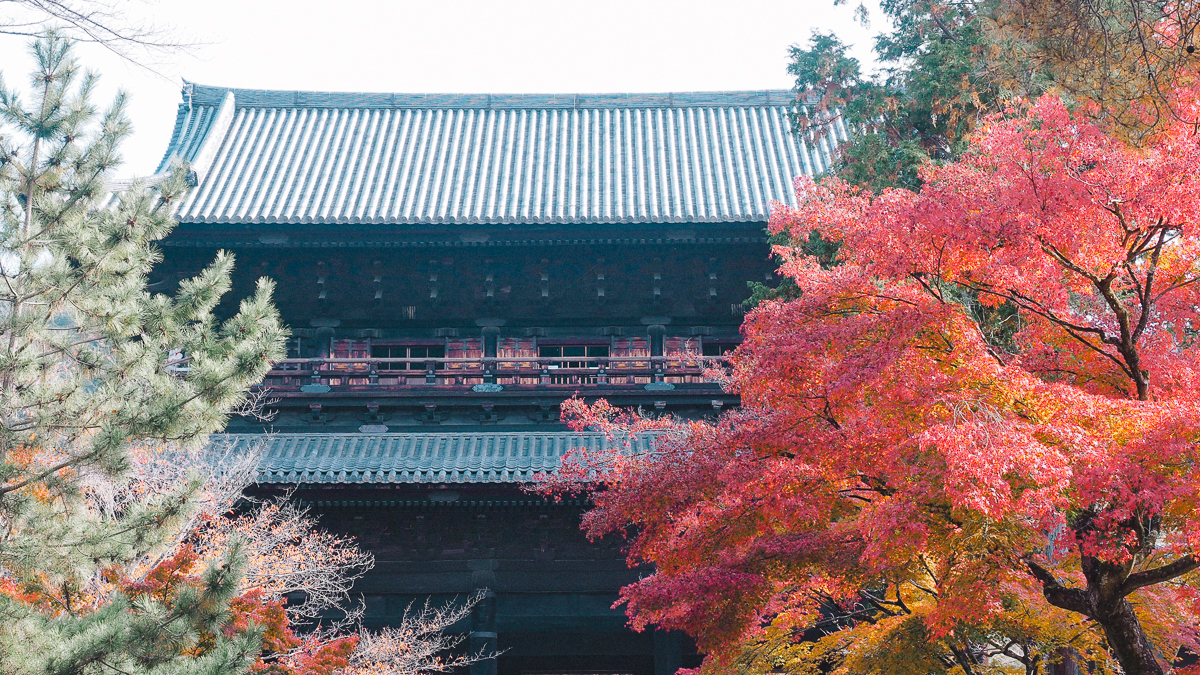 京都 南禅寺 天授庵 紅葉 時期 秋　もみじ　紅葉狩り 観光　kyoto 日本庭園　庭園　