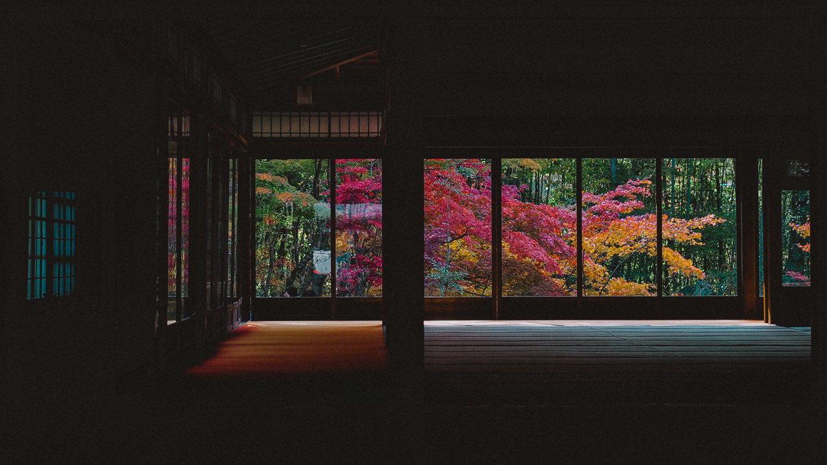 京都 南禅寺 天授庵 紅葉 時期 秋　もみじ　紅葉狩り 観光　kyoto 日本庭園　庭園　