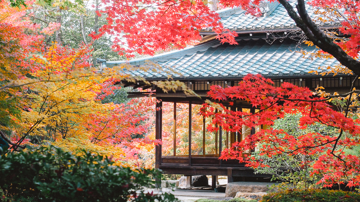 京都 南禅寺 天授庵 紅葉 時期 秋　もみじ　紅葉狩り 観光　kyoto 日本庭園　庭園　