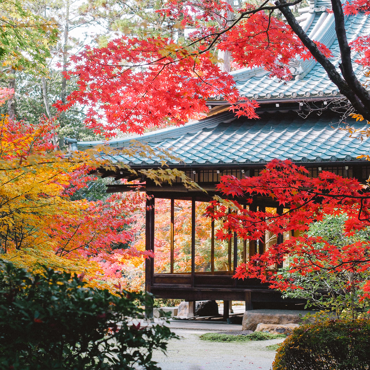 京都 南禅寺 天授庵 紅葉 時期 秋　もみじ　紅葉狩り 観光　kyoto 日本庭園　庭園　