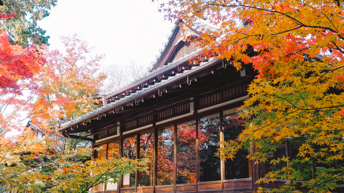 京都 南禅寺 天授庵 紅葉 時期 秋　もみじ　紅葉狩り 観光　kyoto 日本庭園　庭園　