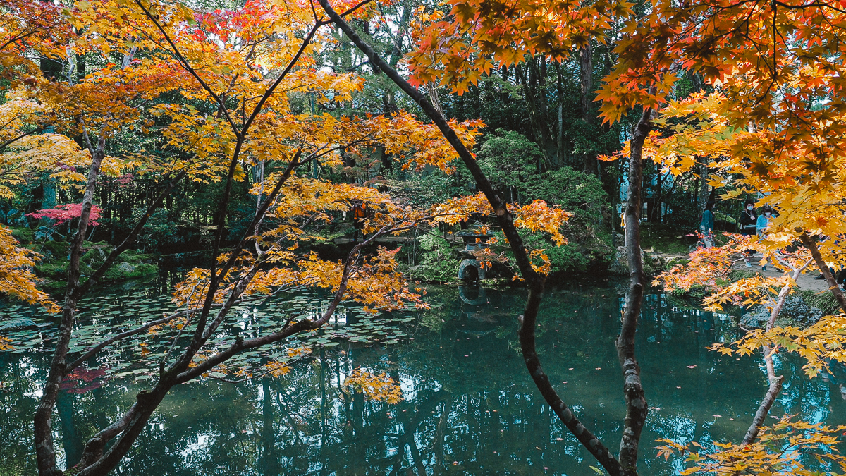 京都 南禅寺 天授庵 紅葉 時期 秋　もみじ　紅葉狩り 観光　kyoto 日本庭園　庭園　