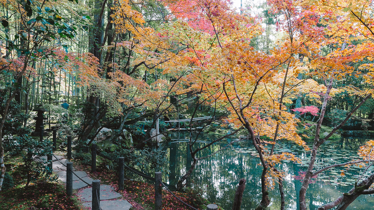 京都 南禅寺 天授庵 紅葉 時期 秋　もみじ　紅葉狩り 観光　kyoto 日本庭園　庭園　