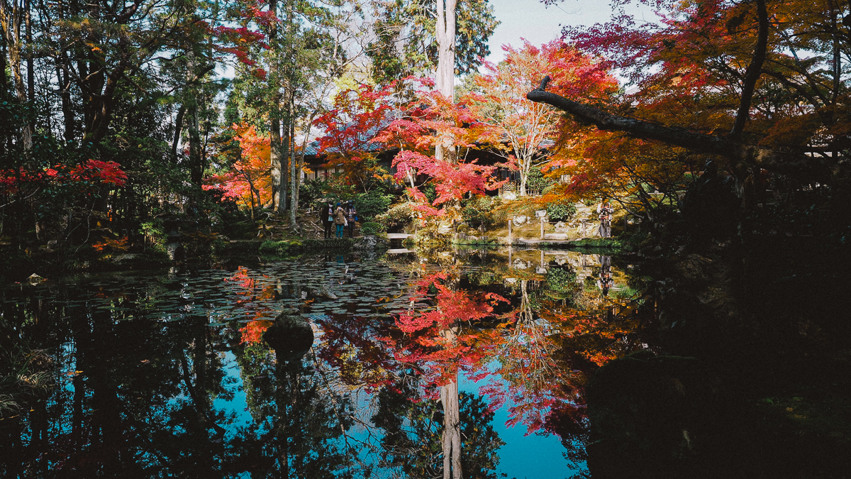 京都 南禅寺 天授庵 紅葉 時期 秋　もみじ　紅葉狩り 観光　kyoto 日本庭園　庭園　