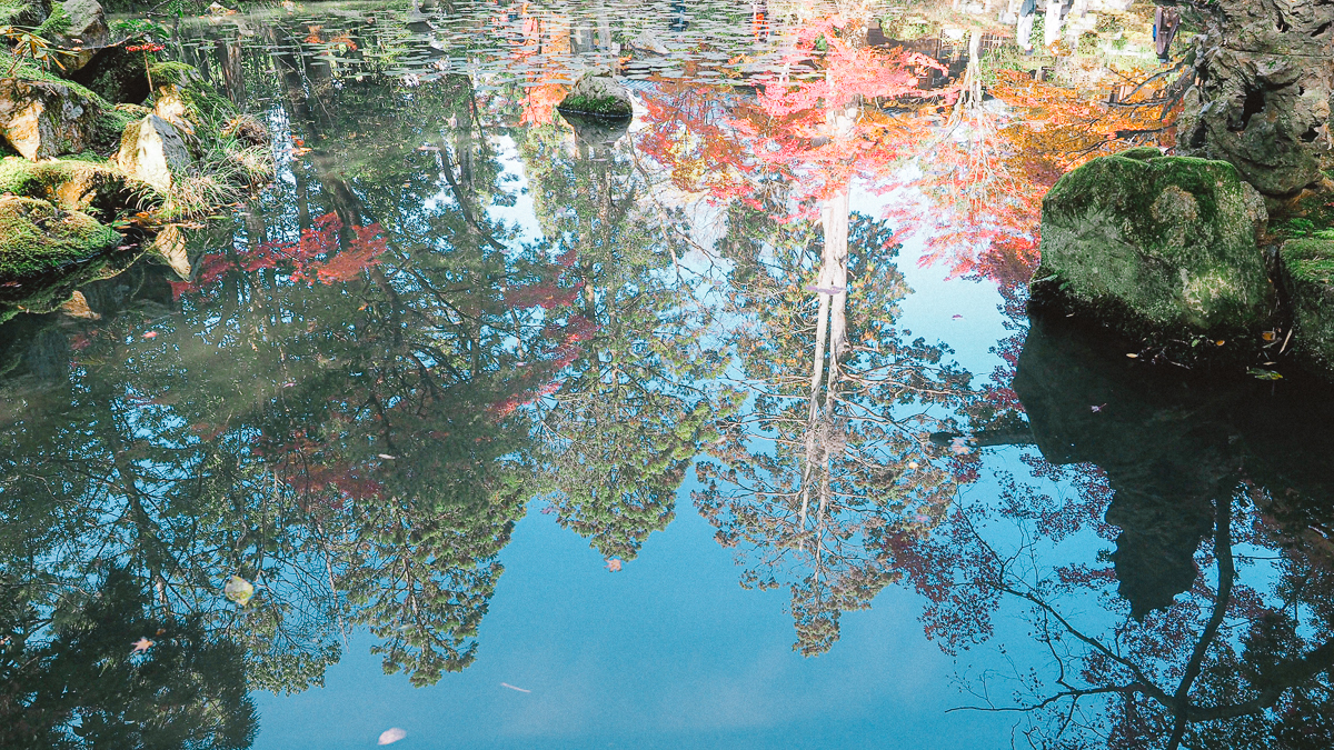 京都 南禅寺 天授庵 紅葉 時期 秋　もみじ　紅葉狩り 観光　kyoto 日本庭園　庭園　