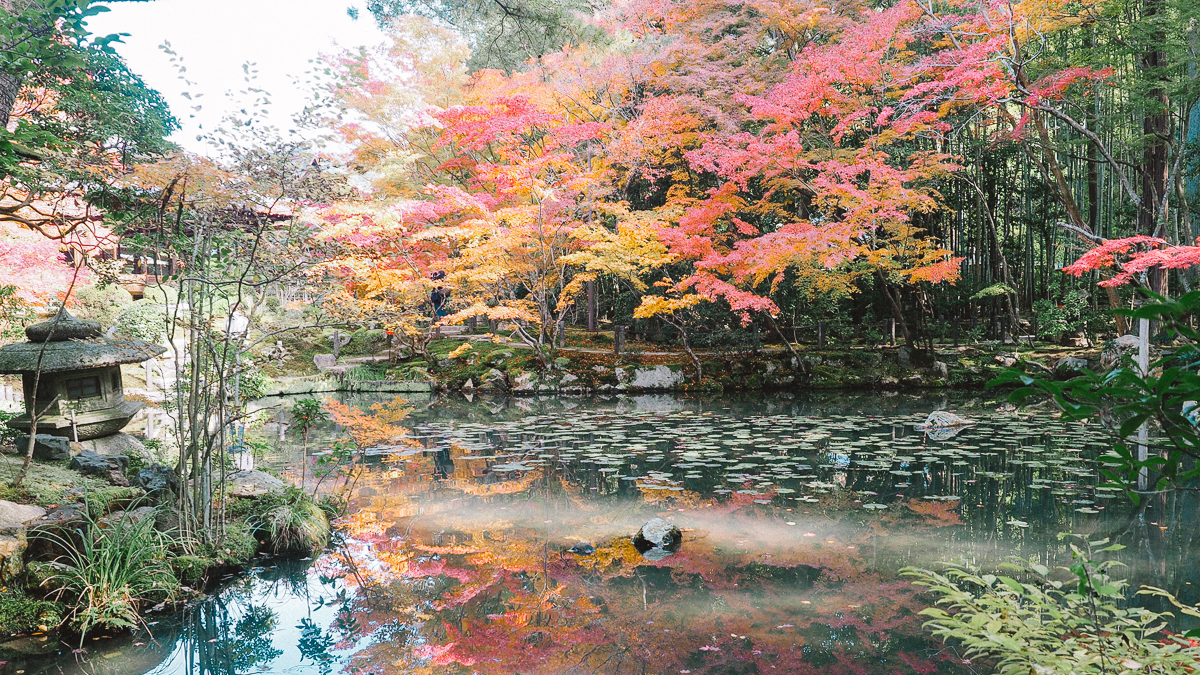 京都 南禅寺 天授庵 紅葉 時期 秋　もみじ　紅葉狩り 観光　kyoto 日本庭園　庭園　