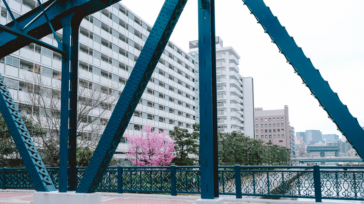 東京　桜　名所　隅田川　下町　散歩　隅田公園　すみだこうえん　押上　すみだリバーウォーク　東京ミズマチ　公園　スポット　花見　日比谷公園　日本橋　日本銀行　日比谷図書館　早稲田　竹橋　大手町　江戸桜通り　清澄白河　浅草寺　蔵前　厩橋