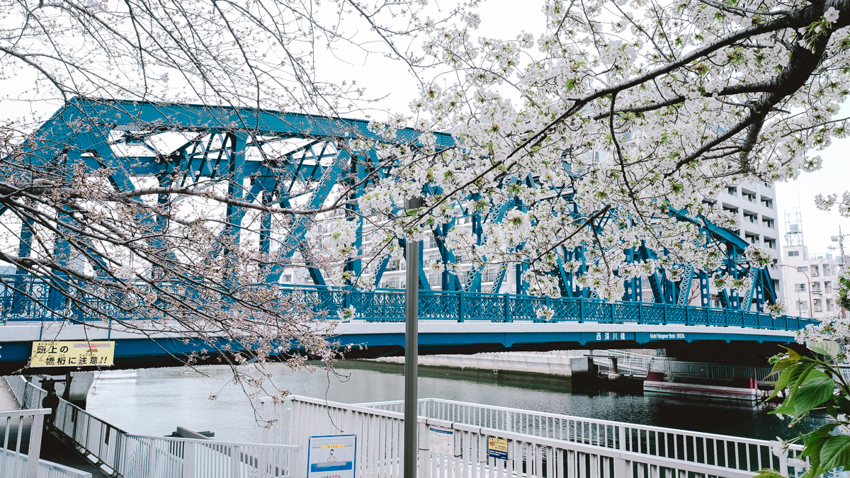 東京　桜　名所　隅田川　下町　散歩　隅田公園　すみだこうえん　押上　すみだリバーウォーク　東京ミズマチ　公園　スポット　花見　日比谷公園　日本橋　日本銀行　日比谷図書館　早稲田　竹橋　大手町　江戸桜通り　清澄白河　浅草寺　蔵前　厩橋