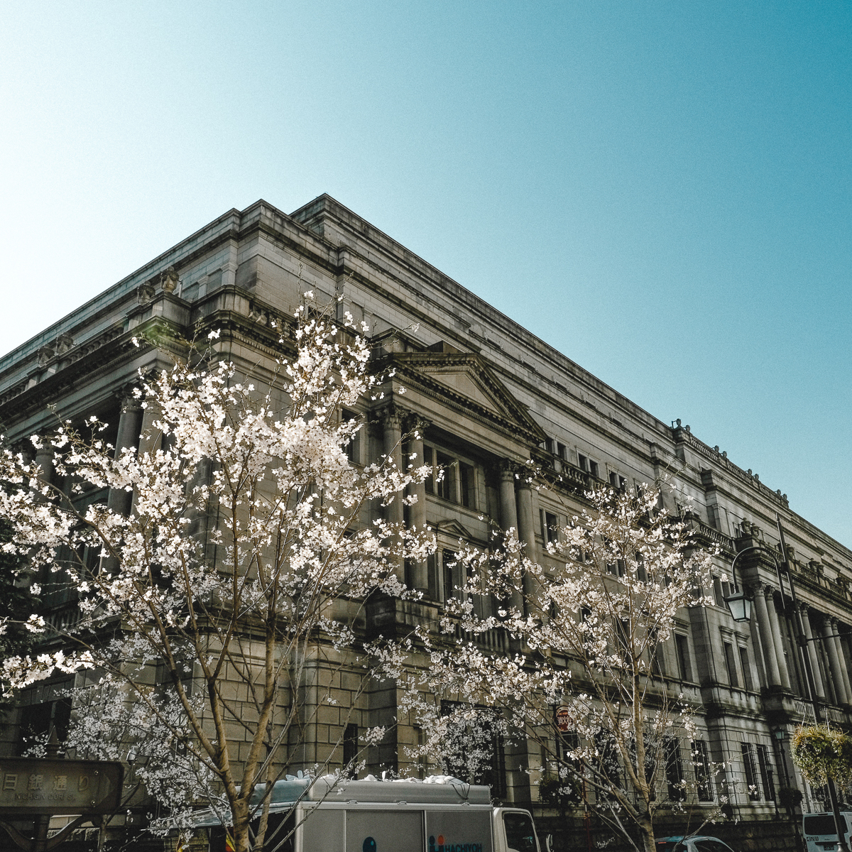 東京　桜　名所　隅田川　下町　散歩　隅田公園　すみだこうえん　押上　すみだリバーウォーク　東京ミズマチ　公園　スポット　花見　日比谷公園　日本橋　日本銀行　日比谷図書館　早稲田　竹橋　大手町　江戸桜通り　清澄白河　浅草寺