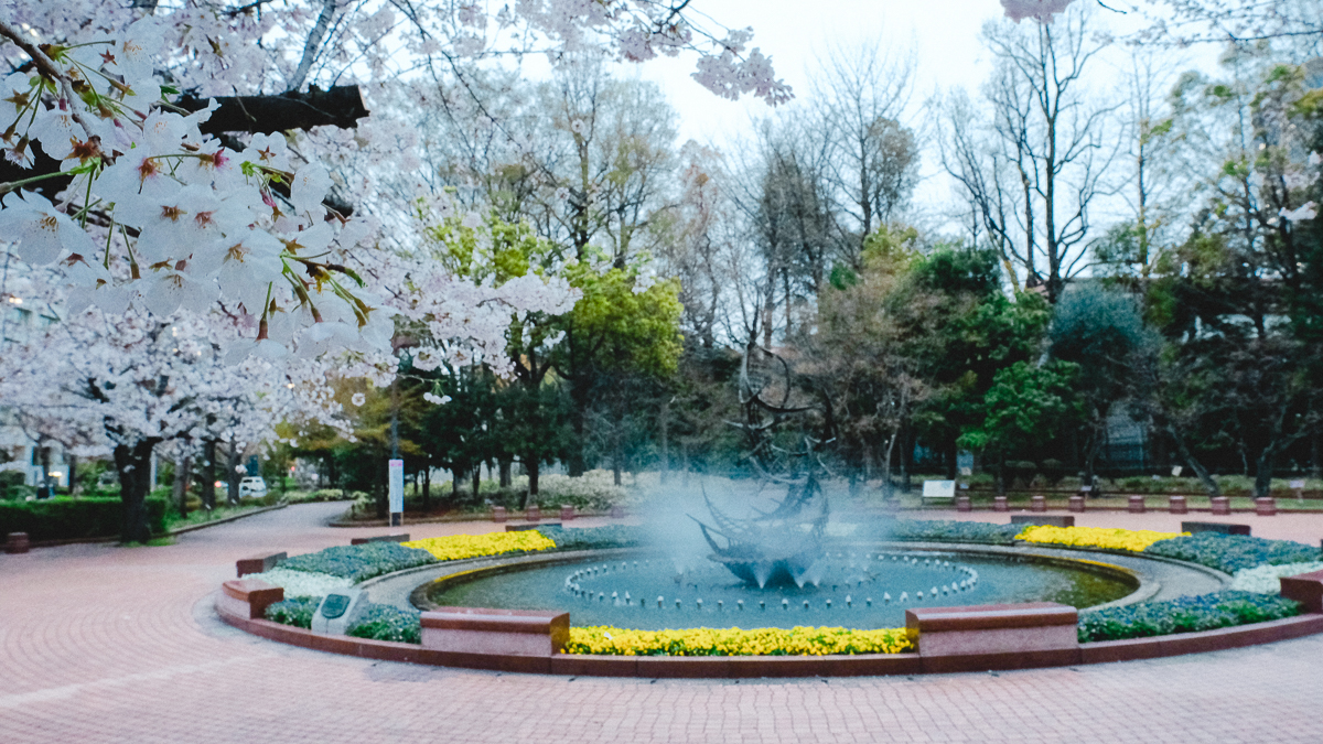 東京　桜　名所　隅田川　下町　散歩　隅田公園　すみだこうえん　押上　すみだリバーウォーク　東京ミズマチ　公園　スポット　花見　日比谷公園　日本橋　日本銀行　日比谷図書館　早稲田　竹橋　大手町　江戸桜通り　清澄白河　浅草寺