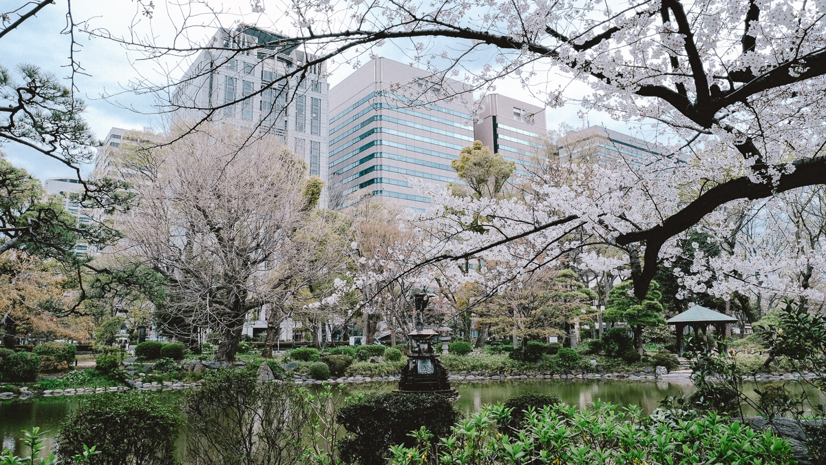 東京　桜　名所　隅田川　下町　散歩　隅田公園　すみだこうえん　押上　すみだリバーウォーク　東京ミズマチ　公園　スポット　花見　日比谷公園　日本橋　日本銀行　日比谷図書館　早稲田　竹橋　大手町　江戸桜通り　清澄白河　浅草寺