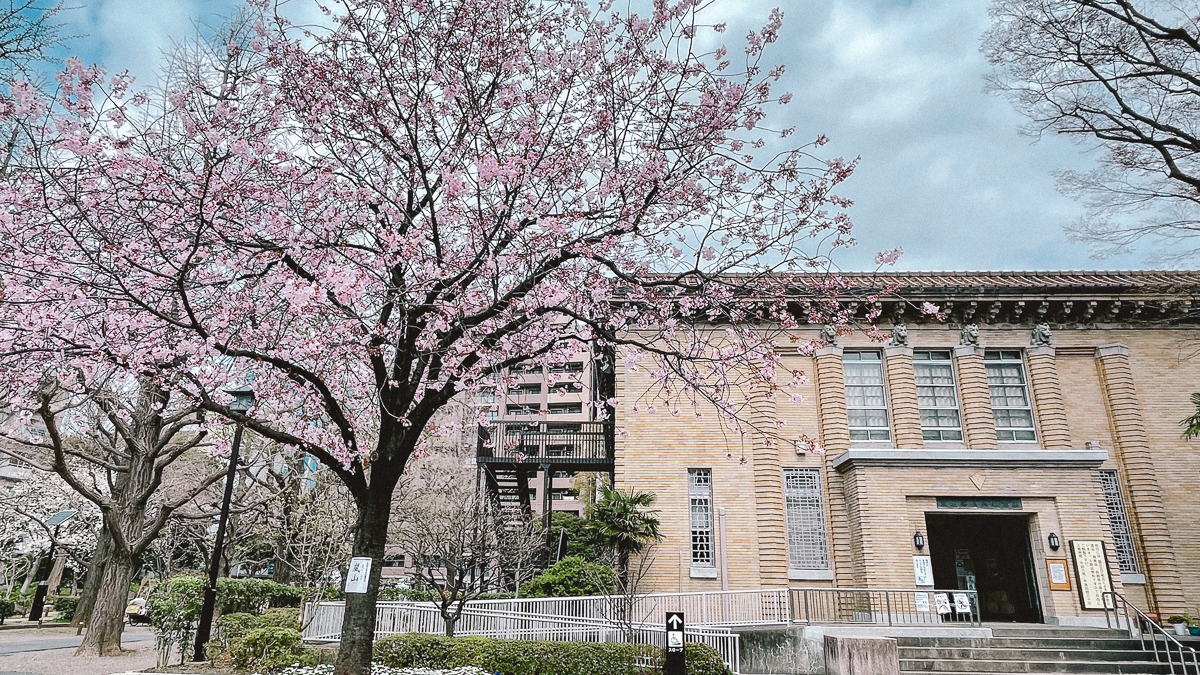 東京　桜　名所　隅田川　下町　散歩　隅田公園　すみだこうえん　押上　すみだリバーウォーク　東京ミズマチ　公園　スポット　花見　日比谷公園　日本橋　日本銀行　日比谷図書館　早稲田　竹橋　大手町　江戸桜通り　清澄白河　浅草寺