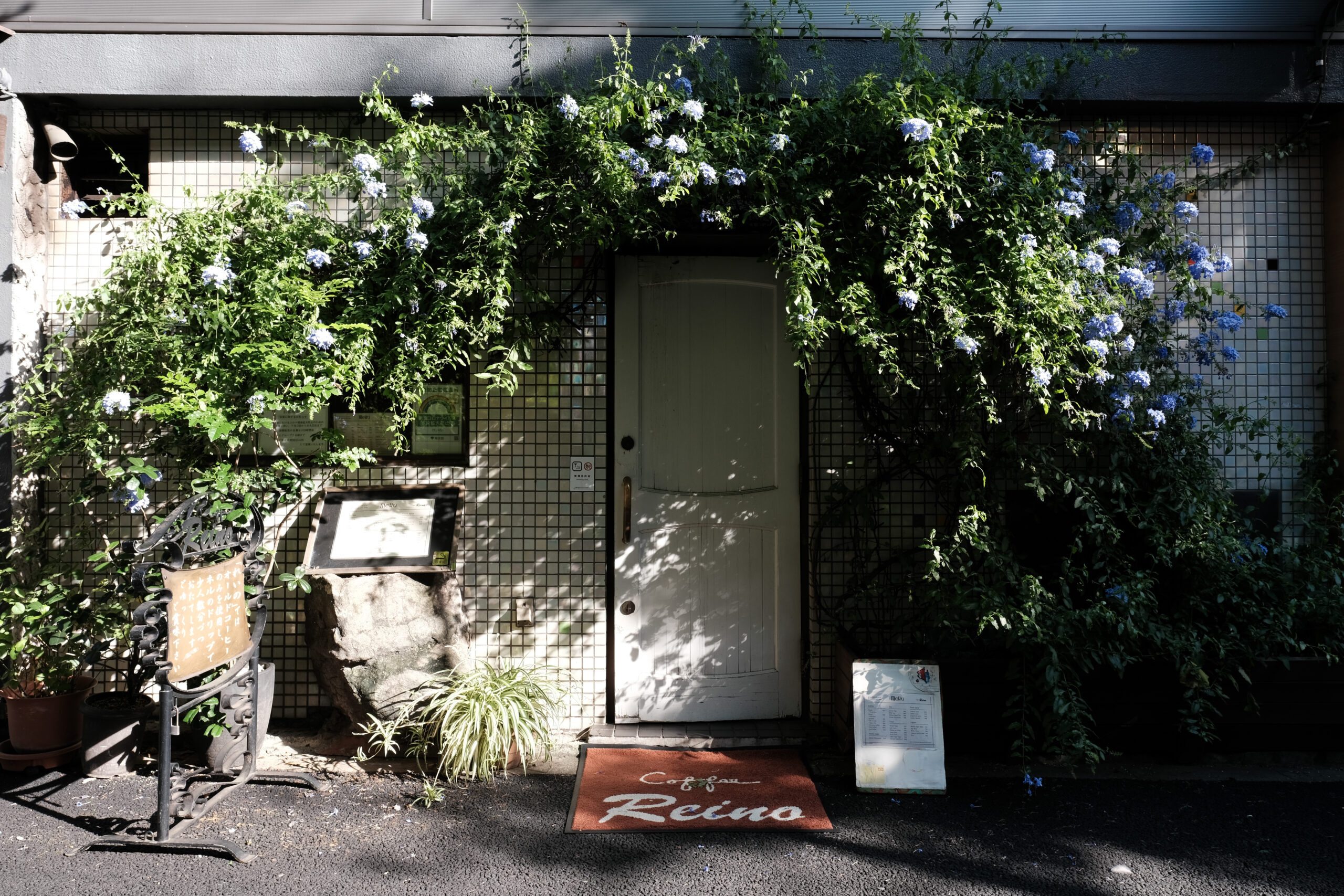 六本木 喫茶店 コーヒーレイノ coffee reino 老舗喫茶 純喫茶 喫茶店巡り 東京喫茶店 喫茶店インテリア coffeeshop レトロ建築 東京 六本木カフェ 六本木 おちつく落ち着くカフェ 静か　打ち合わせ　コーヒー　チーズケーキ