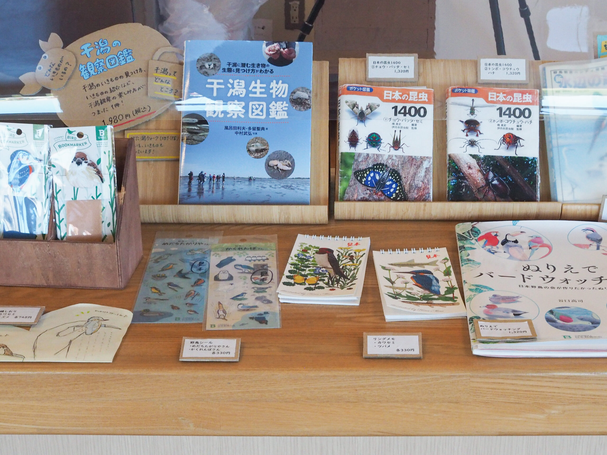 都内　おすすめ　公園　東京港野鳥公園　東京都野鳥公園　大田区　観光　リラックス　野鳥観察　バードウオッチング　落ち着く　自然　東京湾　日本野鳥の会　空が見たい　癒されたい　場所　お出かけ　リフレッシュ　緑　ピクニック　鳥　水鳥　アオサギ　