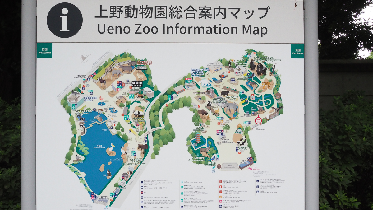 上野動物園　パンダ　整理券　予約　入場方法　ひとり　下町散歩 下町さんぽ 東京観光　おすすめ　動物園　上野公園　動物　上野　台東区　観光　レッサーパンダ