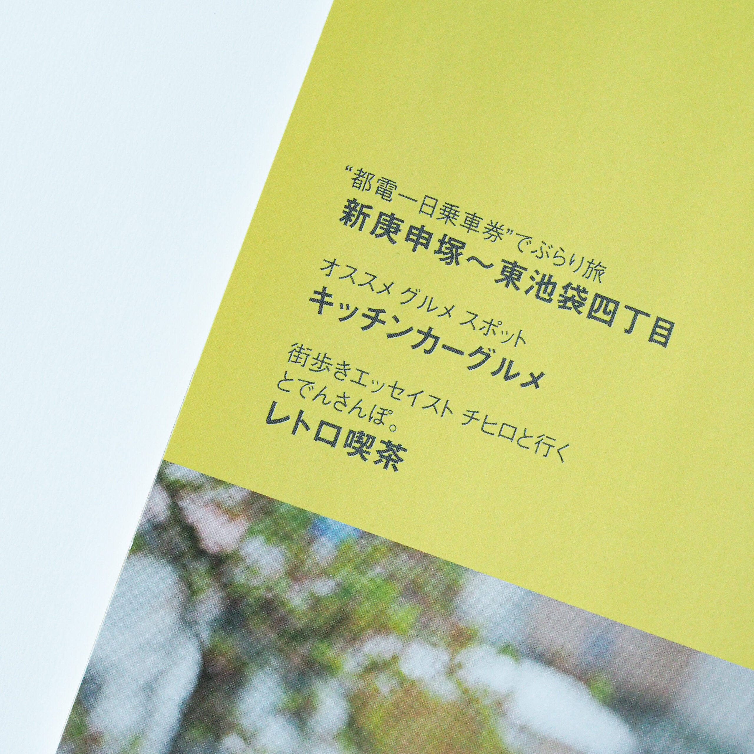 さくらたび。 フリーペーパー　フリーマガジン　地域情報誌　都営交通　都電　都電荒川線　さんぽ　おすすめ　エッセイ　かもめと街　チヒロ　とでんさんぽ。　