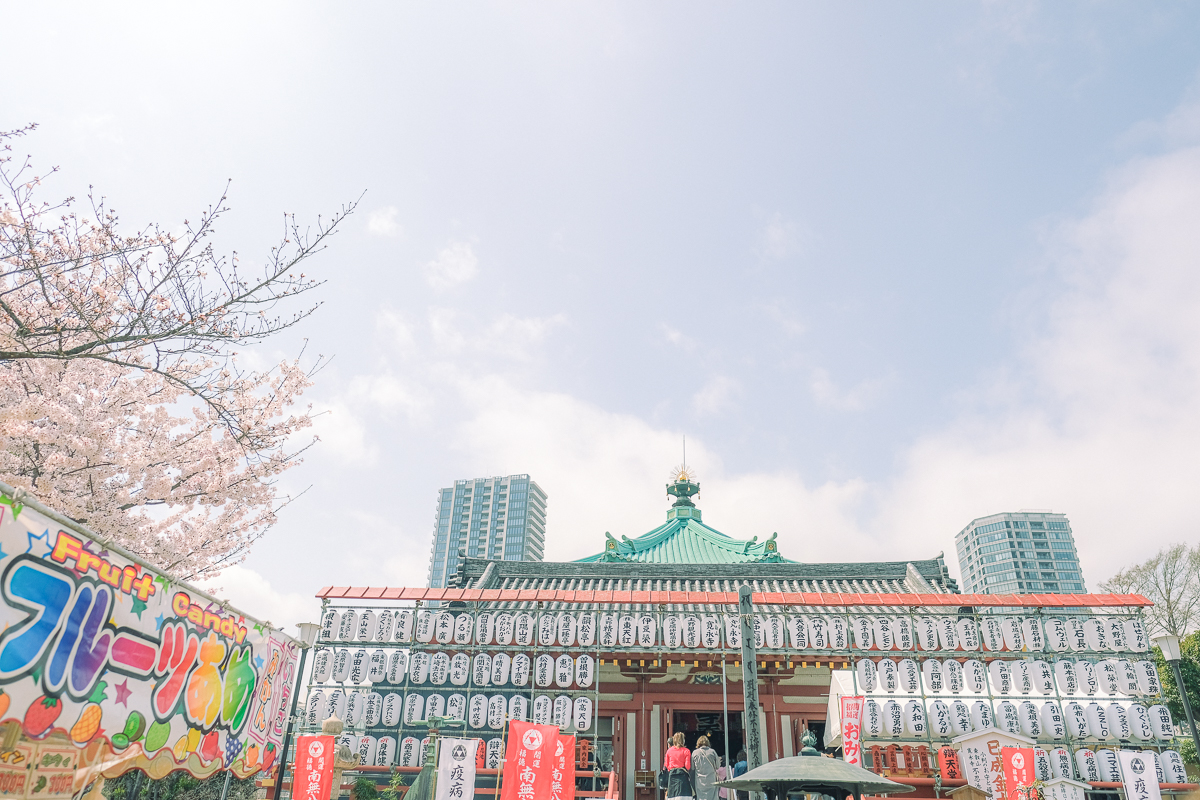 上野公園　桜　開花　上野　スワンボート　お花見　桜の花アイス　不忍池　清水観音堂　寺　上野大仏　谷中　台東区　浅草　神社　桜　桃　境内　春　2022年　下町　散歩　写真　風景　街歩き　散歩ルート