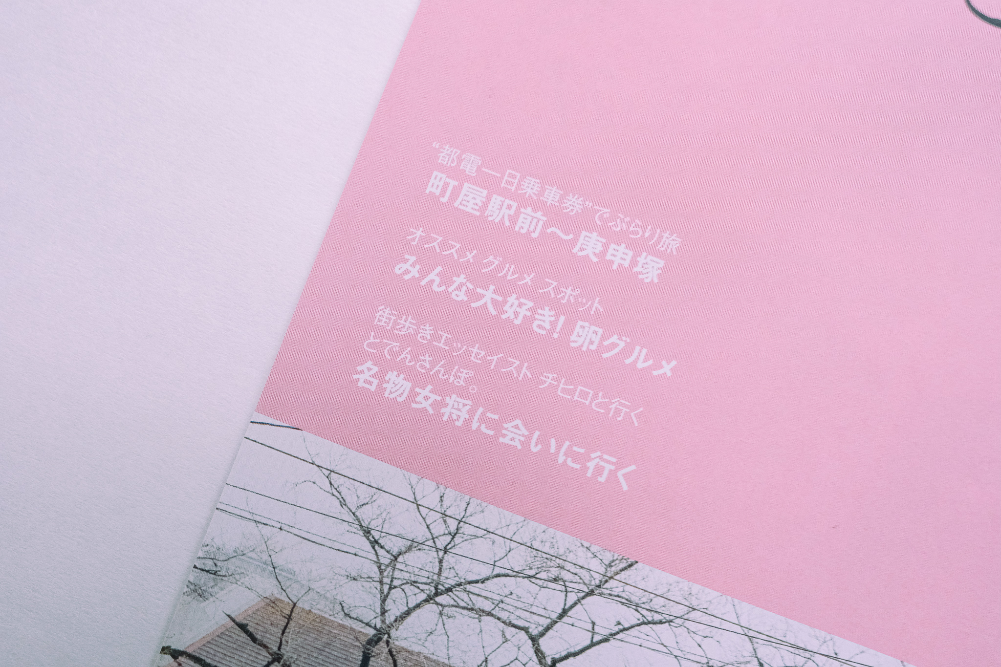 さくらたび。 フリーペーパー　フリーマガジン　地域情報誌　都営交通　都電　都電荒川線　さんぽ　おすすめ　エッセイ　かもめと街　チヒロ　とでんさんぽ。　