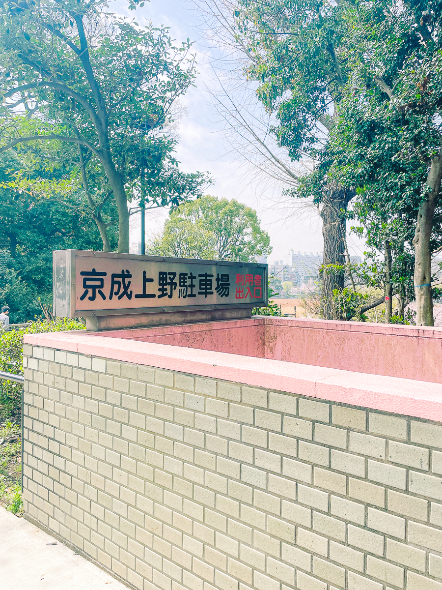 上野公園　桜　開花　上野　スワンボート　お花見　桜の花アイス　不忍池　清水観音堂　寺　上野大仏　谷中　台東区　浅草　神社　桜　桃　境内　春　2022年　下町　散歩　写真　風景　街歩き　散歩ルート