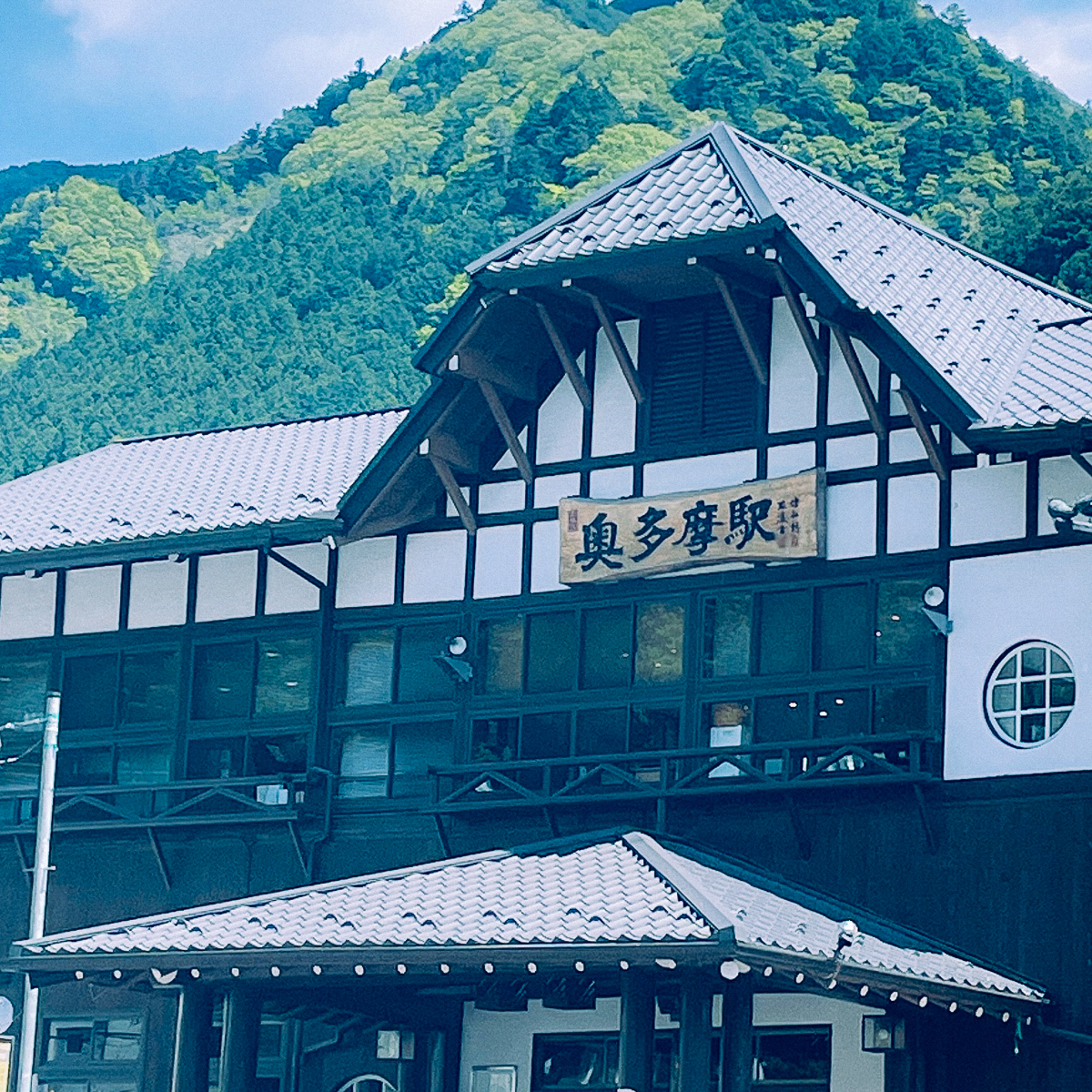 奥多摩　奥多摩駅　おすすめ　散歩　ルート　かもめと街　青梅　都内　日帰り旅　わさび　稲荷　中央線　ホリデー快速　奥多摩湖　ピクニック　アウトドア　初心者　氷川渓谷　