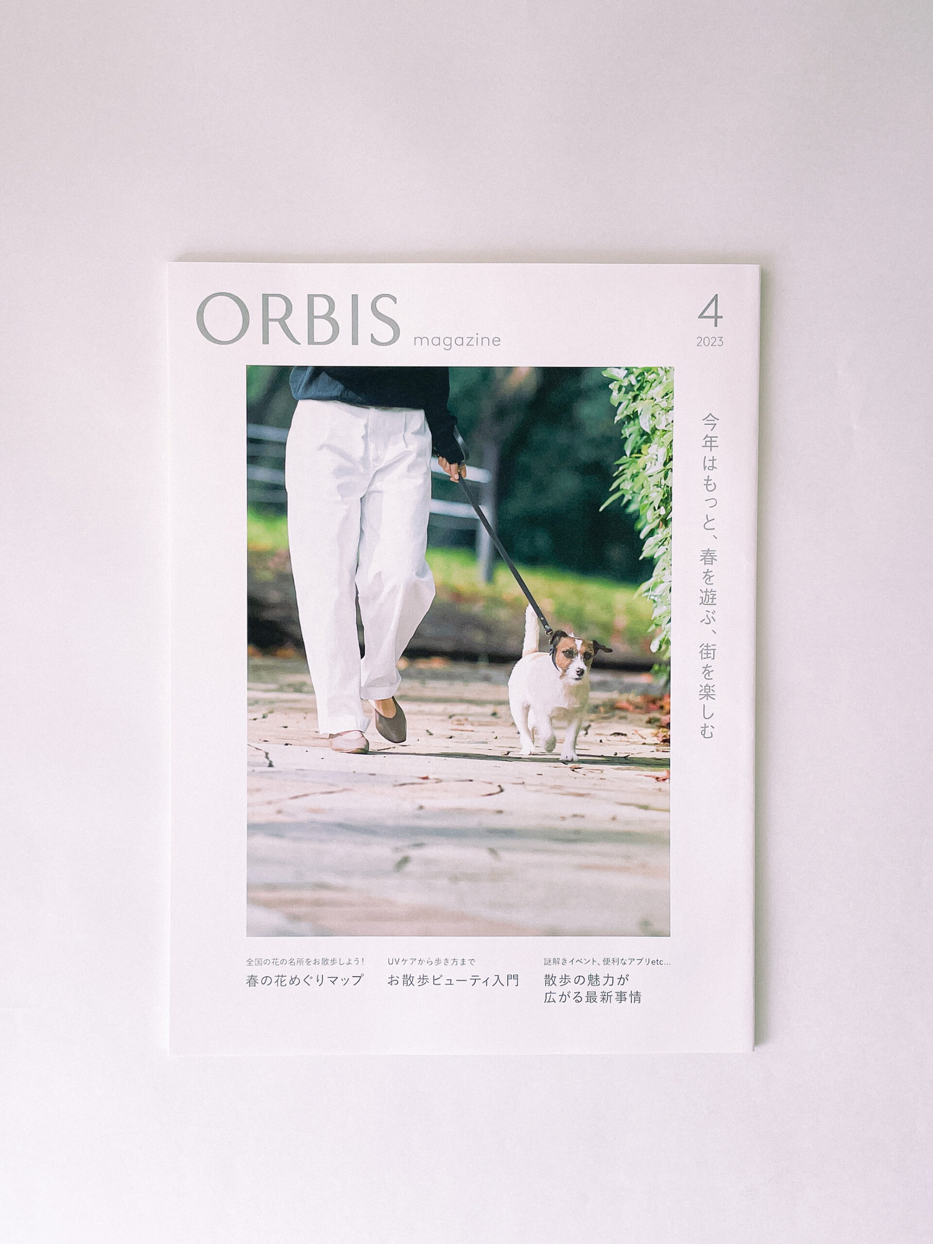 オルビスマガジン　orbis magazine 散歩　エッセイ　本　読書　紹介　エッセイ　チヒロ　かもめと街　取材　メディア　街歩き　街歩きエッセイスト