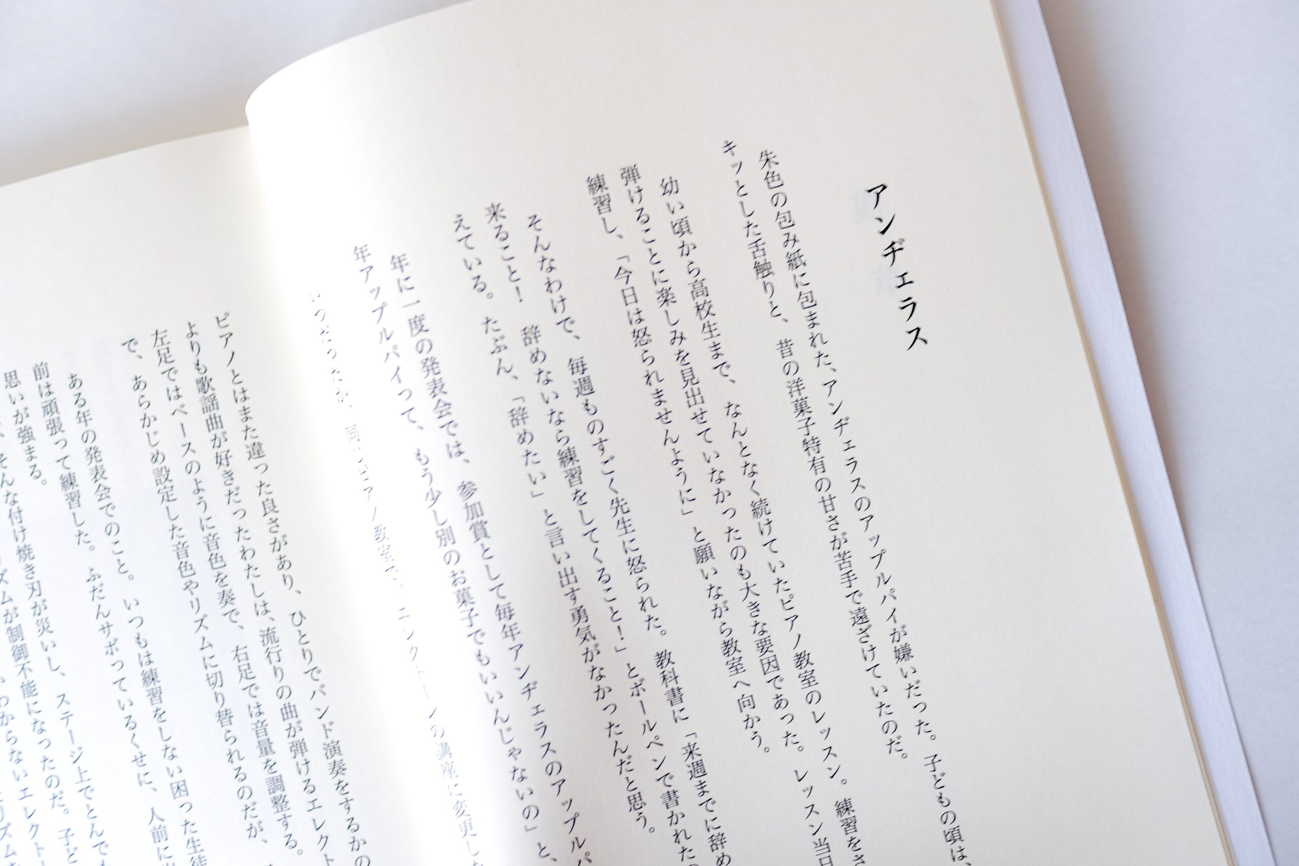 かもめと街　チヒロ　エッセイ　下町　随筆　街歩き　さんぽ　散歩　街歩きエッセイスト　作品　販売　オンライン　通販　いつかなくなるまちの風景　随筆　書籍　自主製作　ZINE