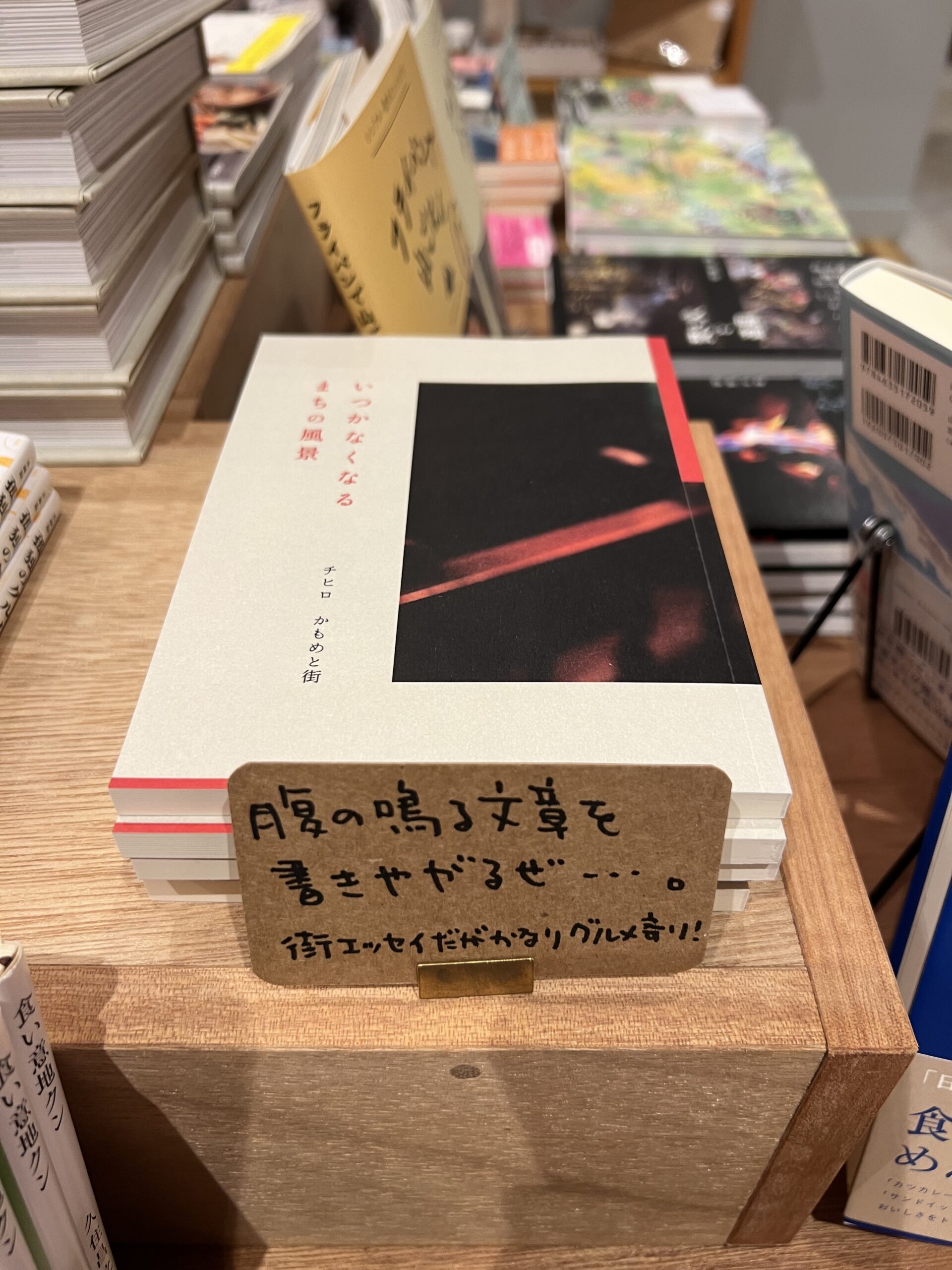 山梨　北杜市　八ヶ岳　清里　本屋　独立系　書店　のほほん　山小屋　カフェ　cafe bookstore かもめと街　エッセイ　街歩きエッセイスト　チヒロ　zine いつかなくなるまちの風景