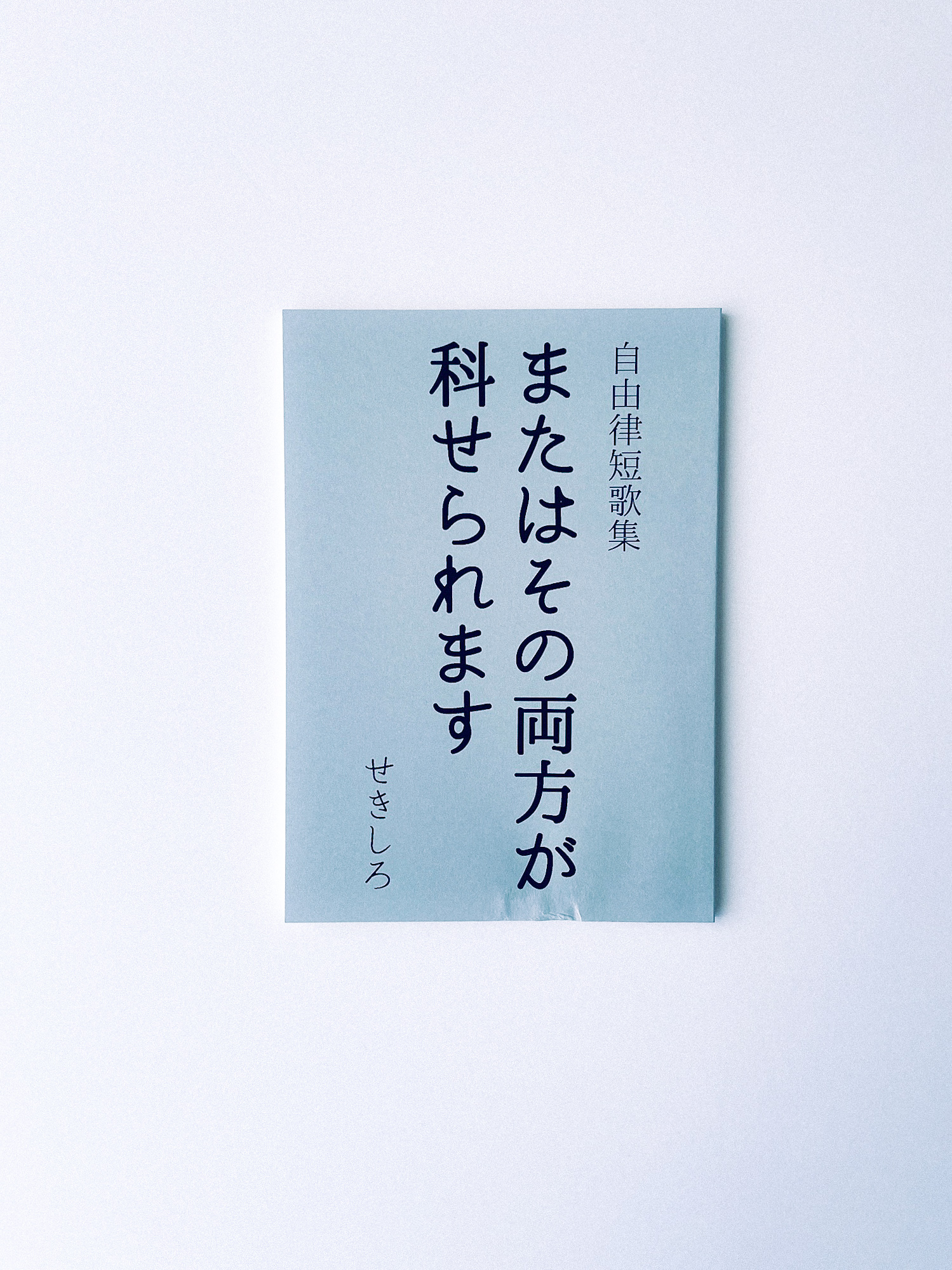 かもめと街　街歩きエッセイスト　おすすめ　ZINE リトルプレス　書評　紹介　ブックバーひつじが　シモダ　全日本ZINEファンクラブ