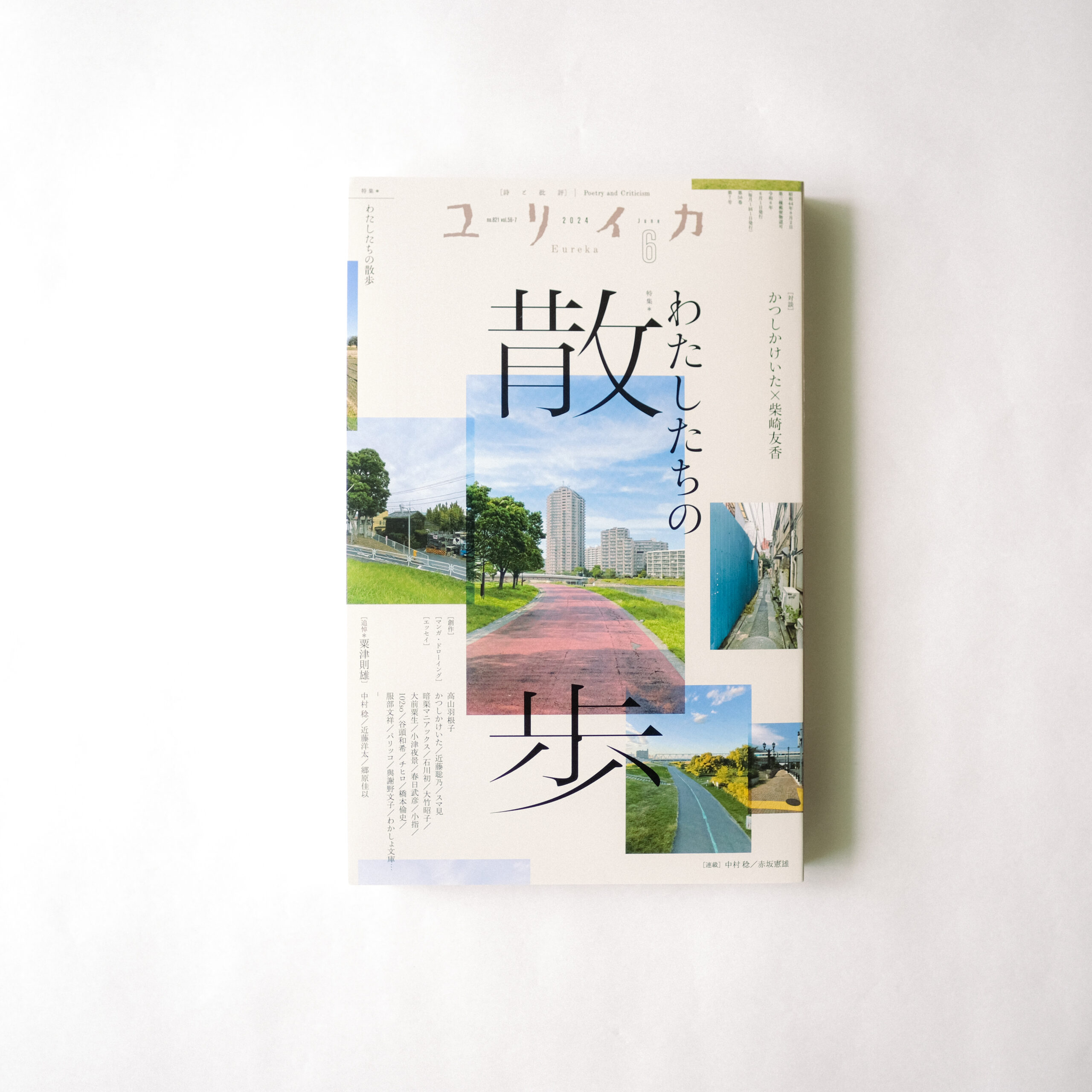 ユリイカ 2024年6月号 わたしたちの散歩 かもめと街 チヒロ 安澤 千尋 街歩きエッセイスト エッセイ 随筆 散歩 街歩き 掲載誌 メディア 文芸誌 掲載