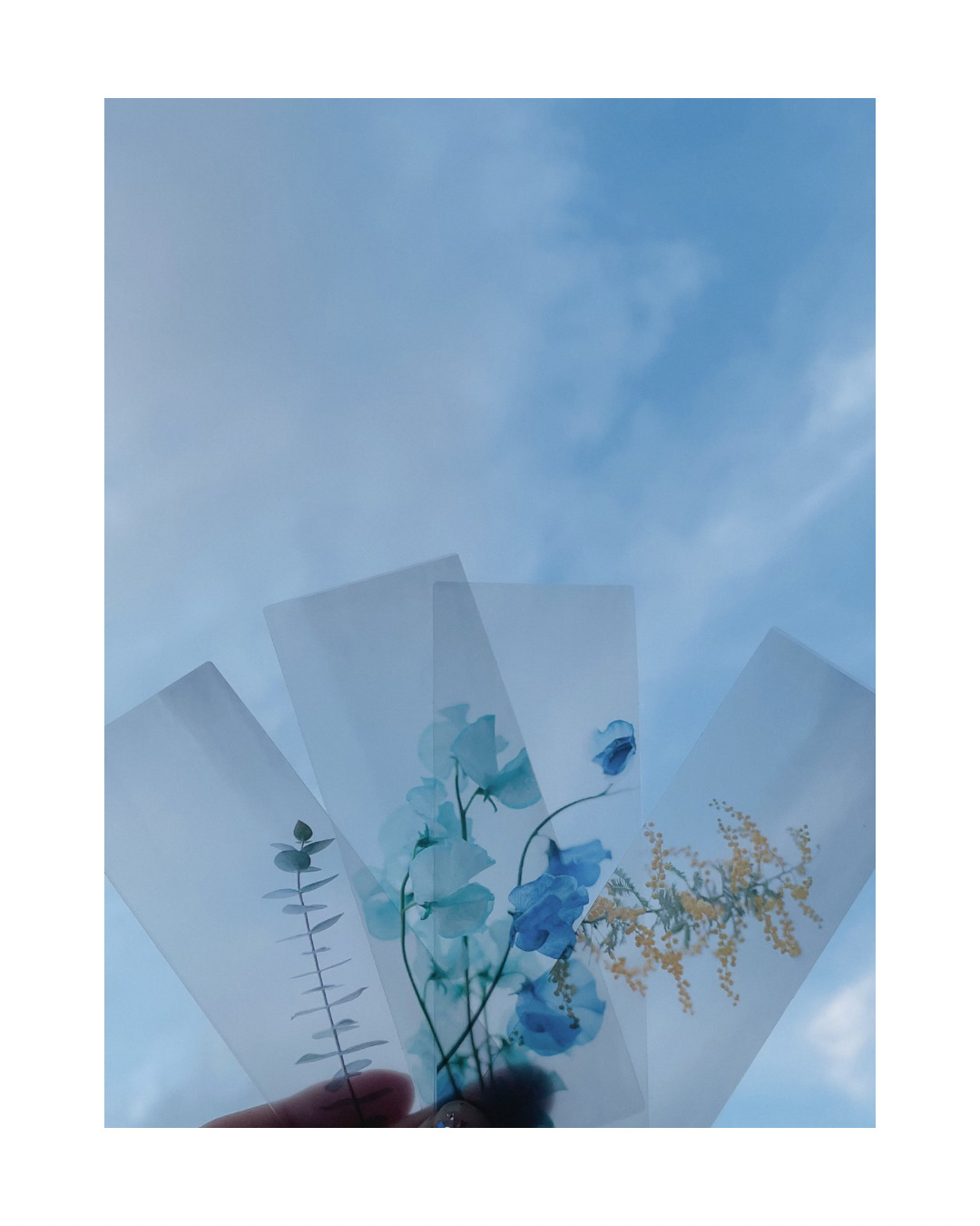 かもめと街　zine 日記　チヒロ　街歩きエッセイスト　本　書籍　自主製作　読書　文学フリマ　東京　zineフェス　栞　しおり　bookmark 